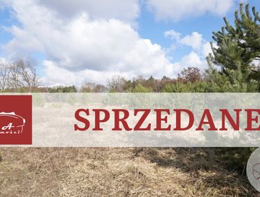 Zdjęcie ogłoszenia