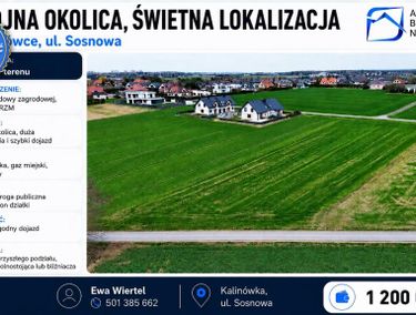 Zdjęcie 15870260 - 2