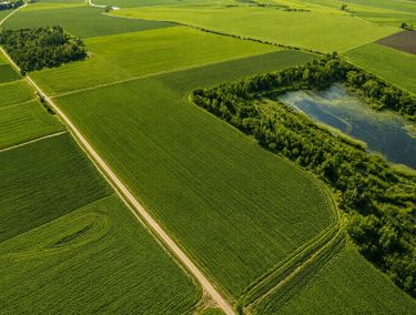 Zdjęcie 15875244 - 3