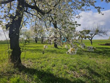 Zdjęcie 15881693 - 6