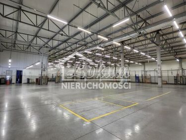Zdjęcie 15882950 - 1