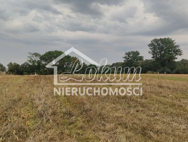 15882956 - zdjęcie ogłoszenia