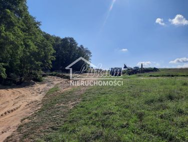 15883349 - zdjęcie ogłoszenia