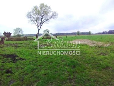 Zdjęcie 15883678 - 6