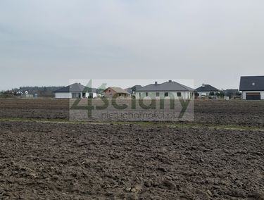 Zdjęcie 15888056 - 6