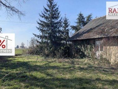 Zdjęcie 15888829 - 6