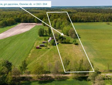 Zdjęcie 15889012 - 2
