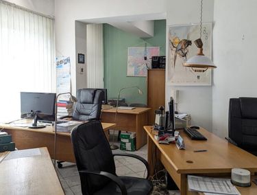 Zdjęcie ogłoszenia