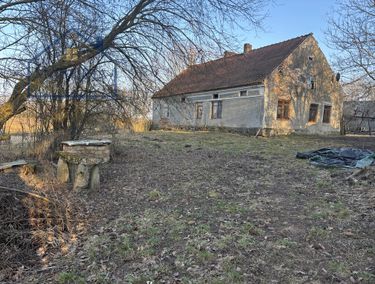 Zdjęcie 15890317 - 4