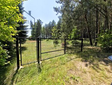 Zdjęcie 15890351 - 1