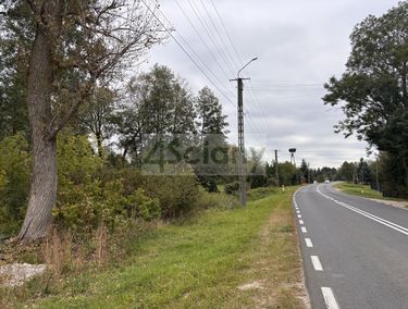 Zdjęcie 15891103 - 4