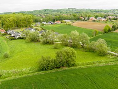 Zdjęcie 15891312 - 4