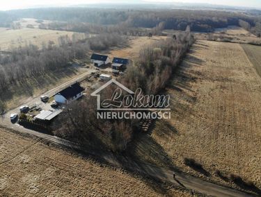 Zdjęcie 15896385 - 2