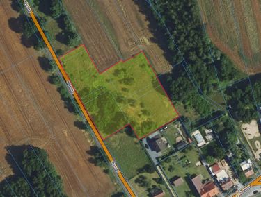 Zdjęcie 15899003 - 4