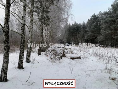 Zdjęcie 15900172 - 4