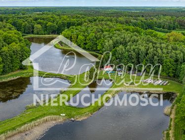Zdjęcie 15901262 - 4