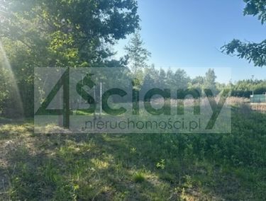 Zdjęcie 15901461 - 1