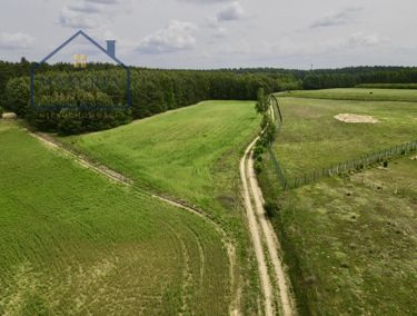 Zdjęcie 15902326 - 3