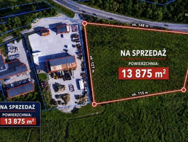 Zdjęcie 15902540 - 2