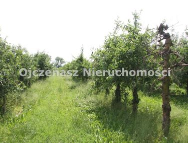 Zdjęcie 15903067 - 1