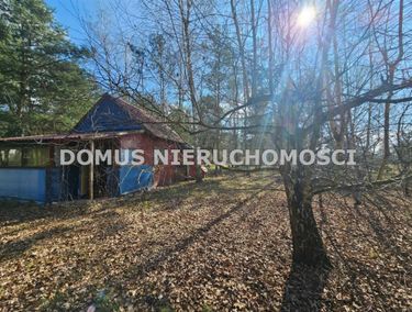 Zdjęcie 15903635 - 5