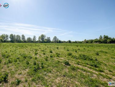 Zdjęcie 15903782 - 5