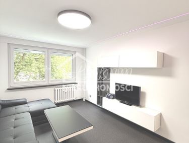 15904000 - zdjęcie ogłoszenia