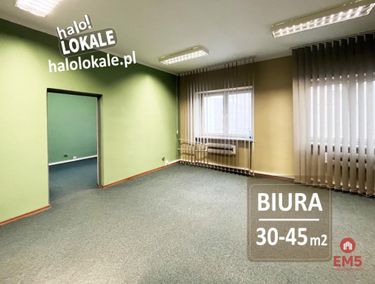 Zdjęcie 15904067 - 2