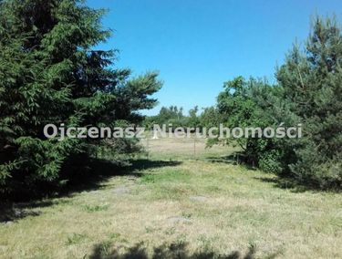 Zdjęcie 15904890 - 1