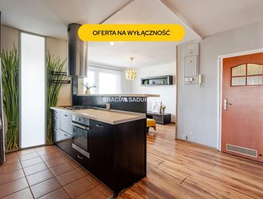 Zdjęcie 15905156 - 1