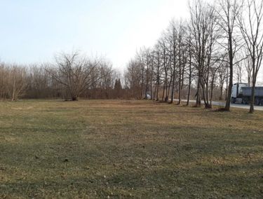 Zdjęcie 15905402 - 1