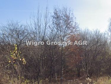 Zdjęcie ogłoszenia