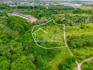 Zdjęcie 15913072 - 4