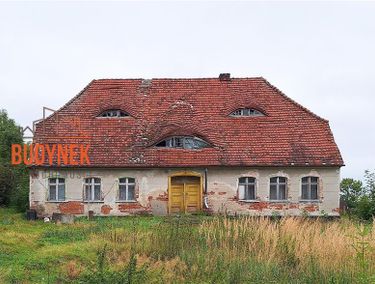 Zdjęcie ogłoszenia