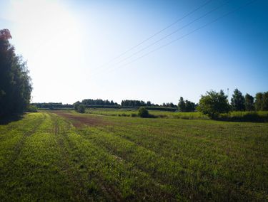 Zdjęcie ogłoszenia