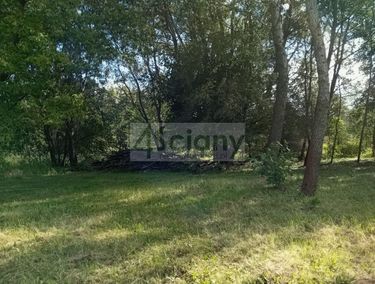 Zdjęcie 15928658 - 1