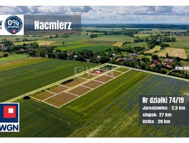 Zdjęcie 15935384 - 1