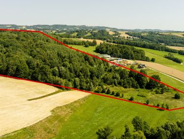 Zdjęcie 15941552 - 6