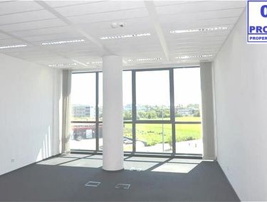 Zdjęcie ogłoszenia