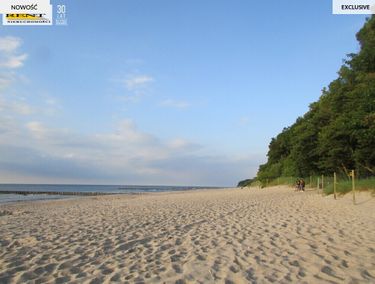 Zdjęcie ogłoszenia