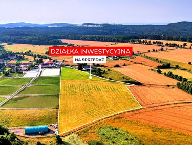 Zdjęcie ogłoszenia