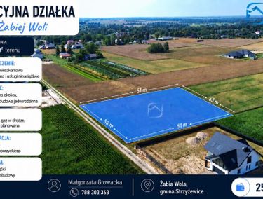 Zdjęcie ogłoszenia