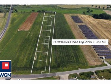 Zdjęcie 15947807 - 3