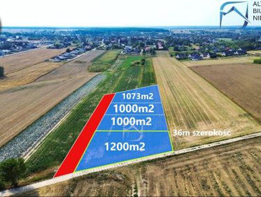 Zdjęcie 15947921 - 2