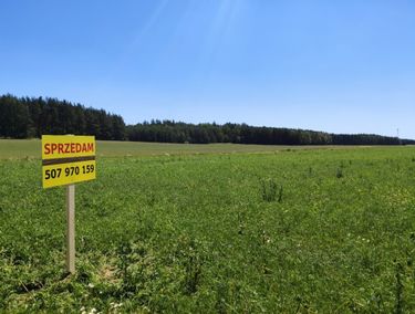 Zdjęcie ogłoszenia