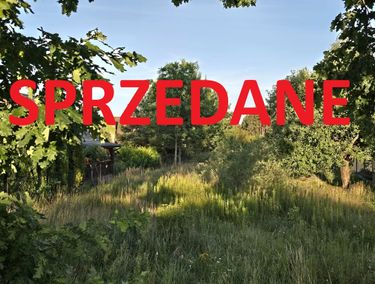 Zdjęcie ogłoszenia