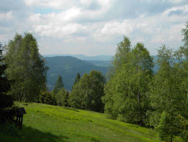 Zdjęcie ogłoszenia
