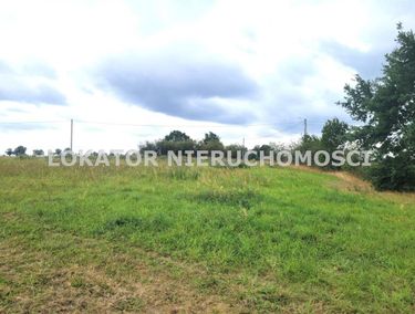 Zdjęcie 15950917 - 4