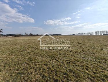Zdjęcie 15951382 - 1