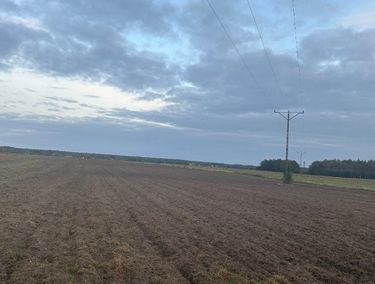 Zdjęcie ogłoszenia